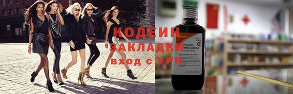 индика Кодинск