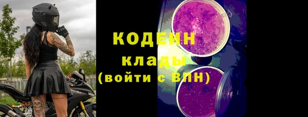 индика Кодинск