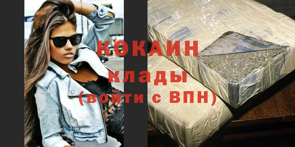 твердый Козловка