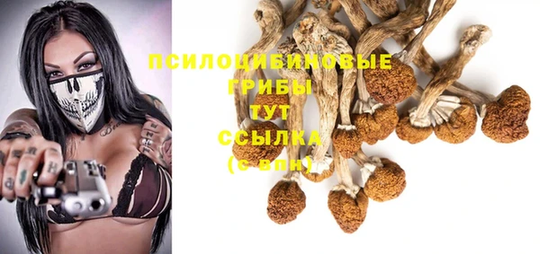твердый Козловка