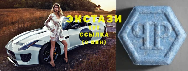 индика Кодинск