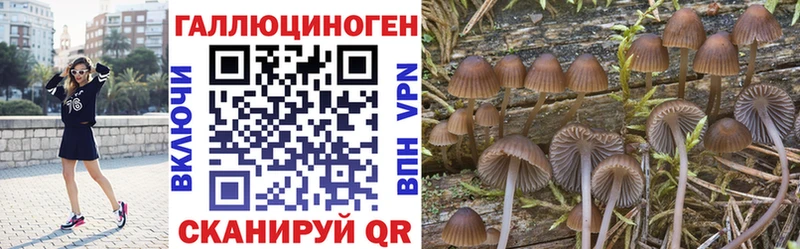 Псилоцибиновые грибы MAGIC MUSHROOMS Вязники
